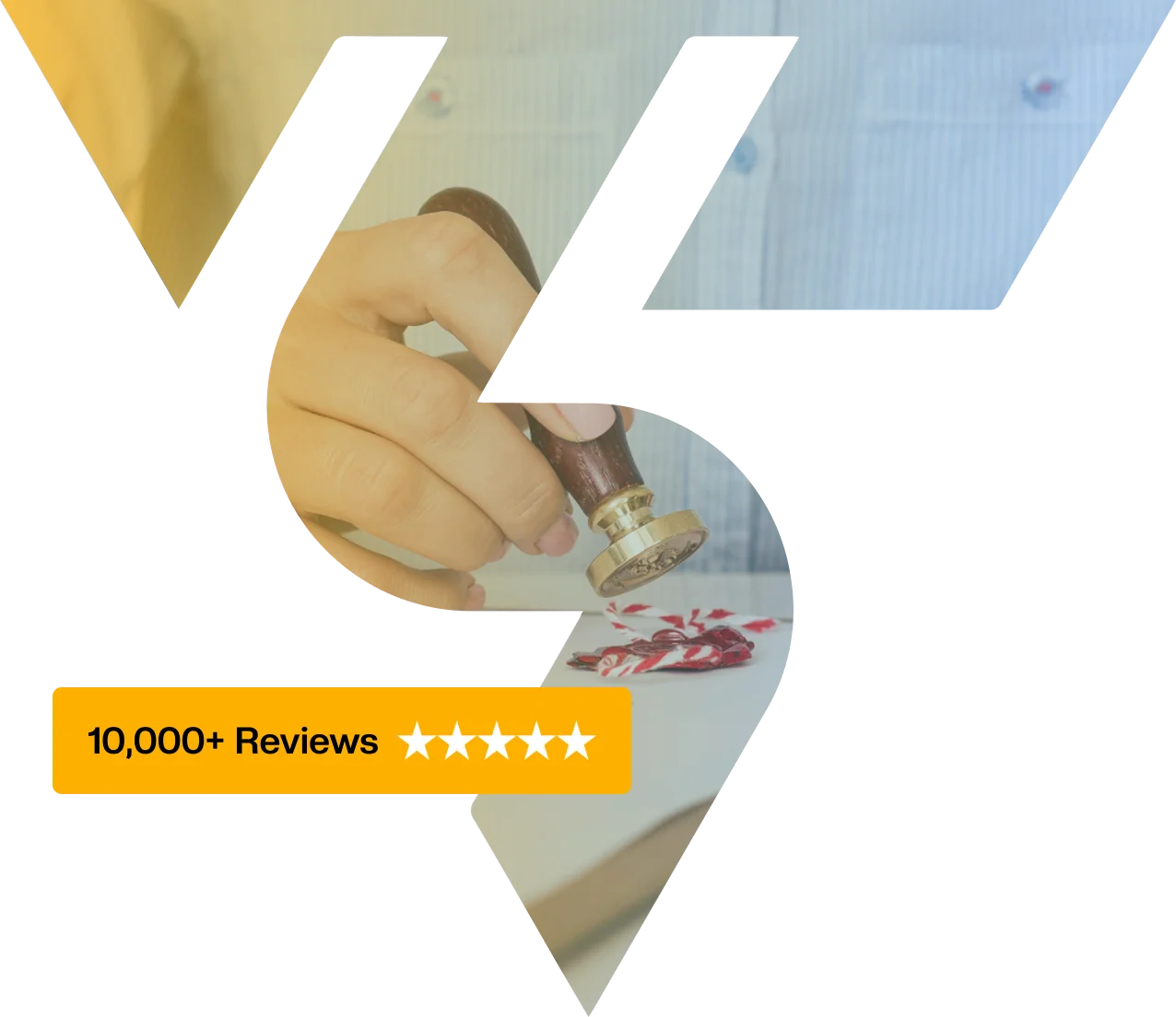 10000+ Reviews